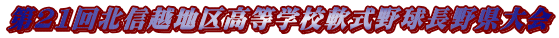 第21回北信越地区高等学校軟式野球長野県大会